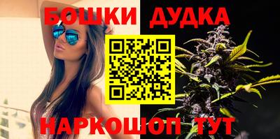 ECSTASY Новодвинск