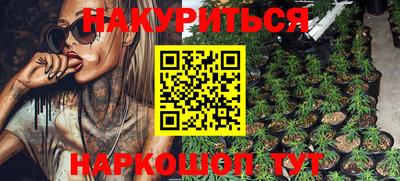 ECSTASY Новодвинск