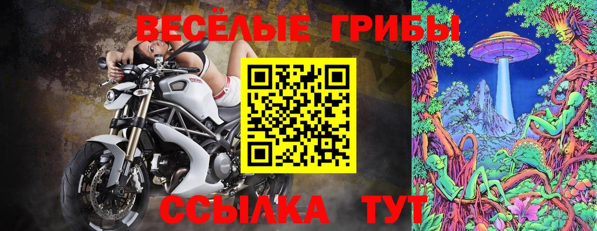 Симферополь  Псилоцибиновые грибы мухоморы  где купить наркоту  Вход с VPN 
