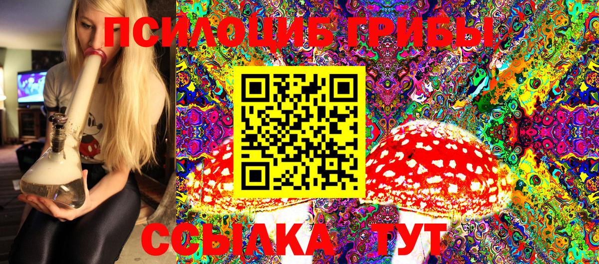 Псилоцибиновые грибы Psilocybine cubensis Симферополь